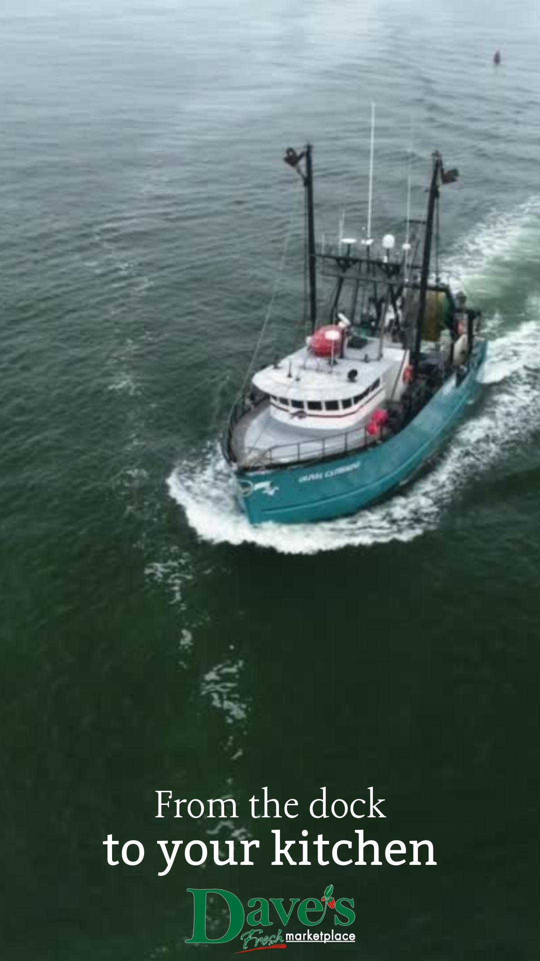Fresh from the Dock